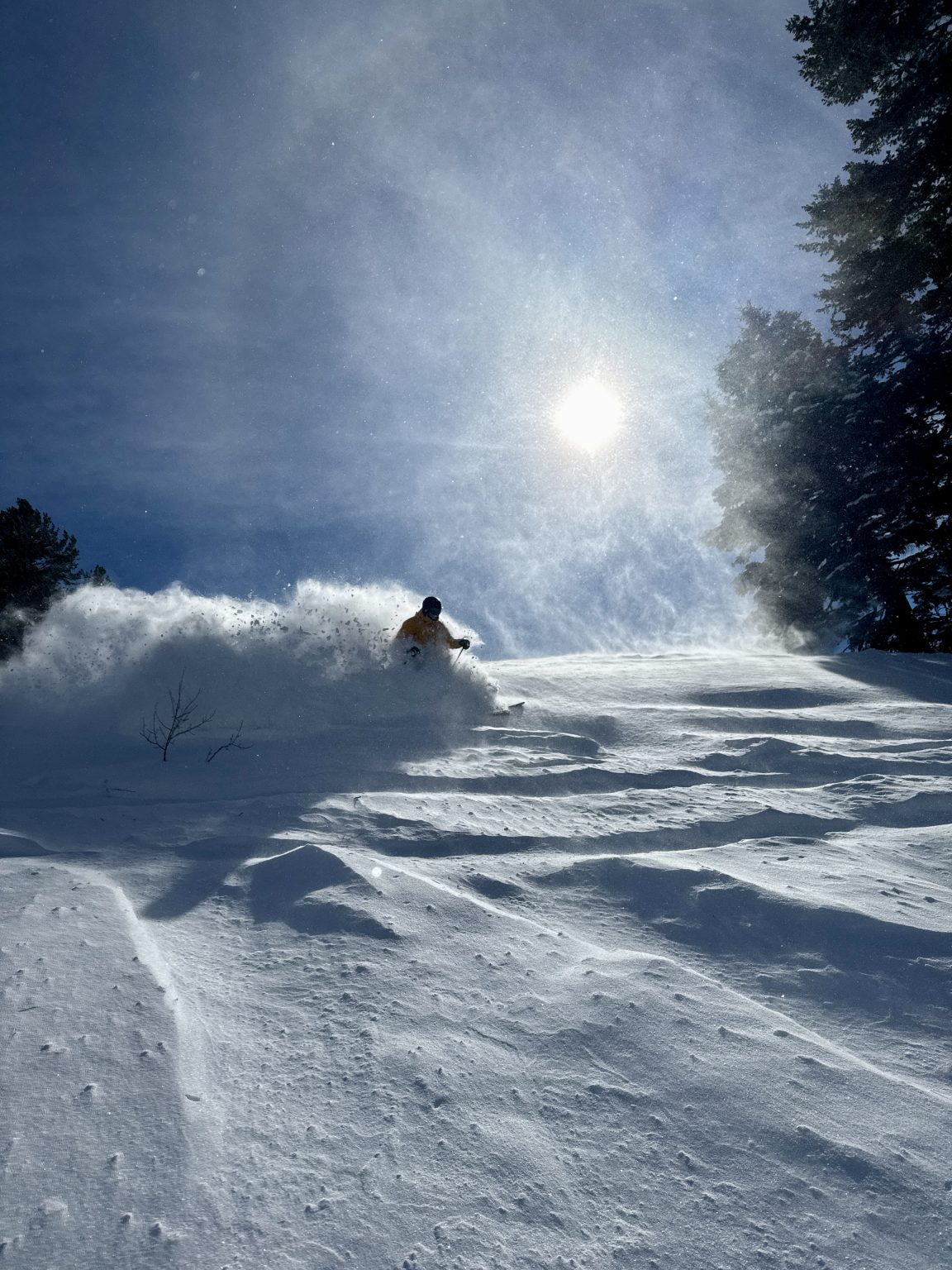 Photo inspiration: Visual Reference: Powder Haven At Powder Mountain Private Skiing Access